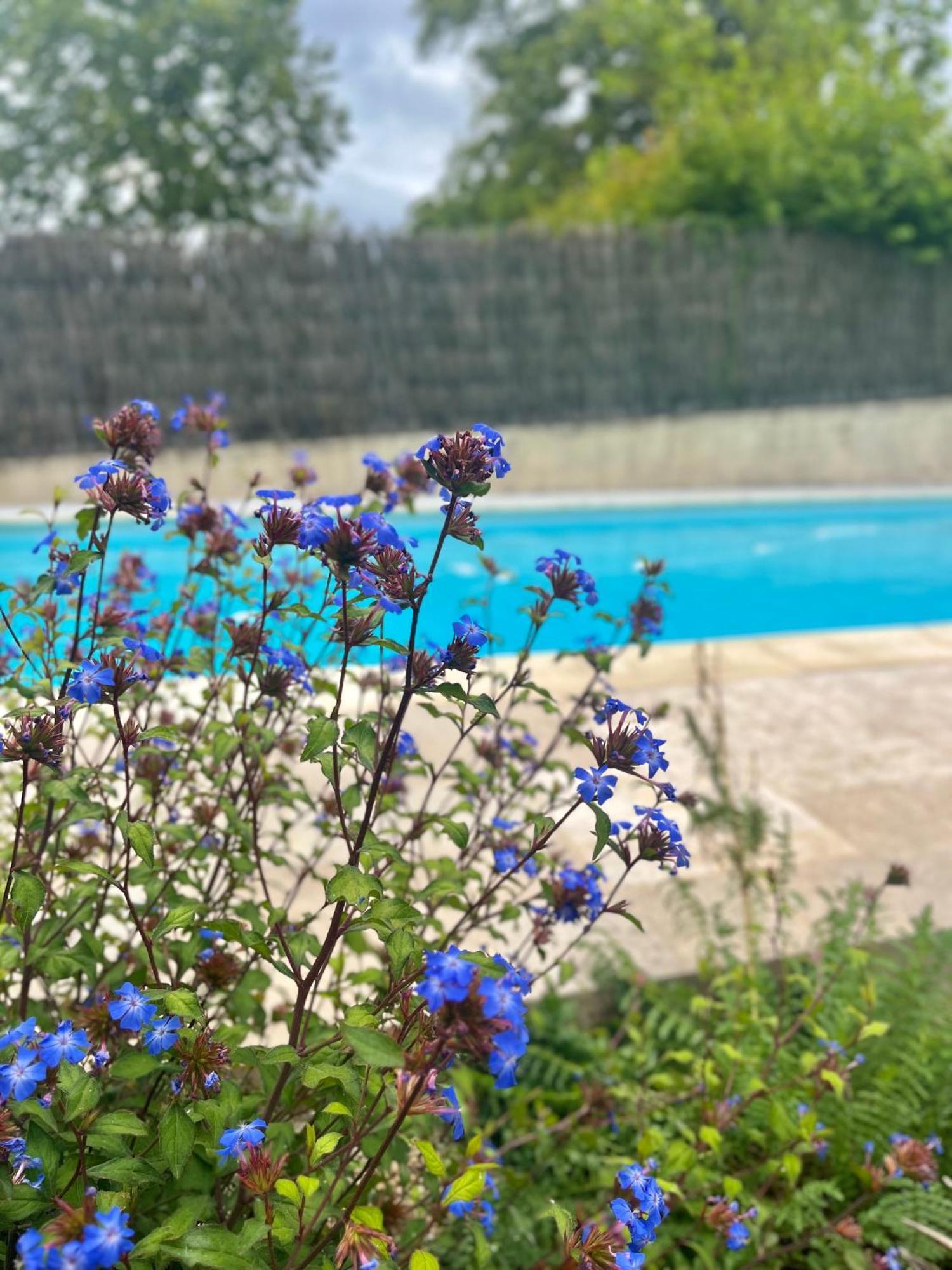 Chambres Cosy Ben & Nad Proches Du Puy Dufou Saint-Aubin-des-Ormeaux 外观 照片